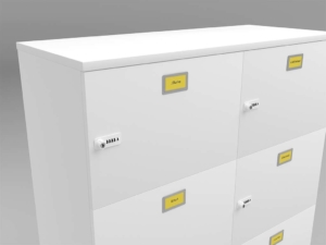 Freestanding-Safe-Cabinets-Lockers